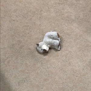 Meet your Posher, Jeff